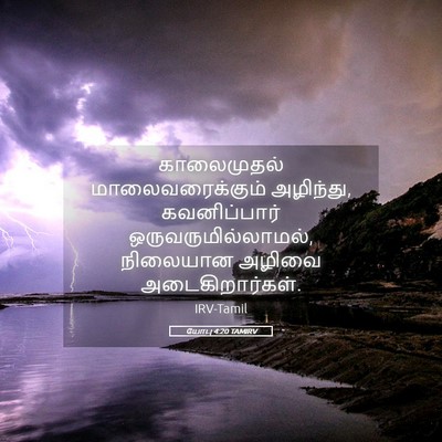 Picture 05 - யோபு 4:20 TAMIRV - காலைமுதல் - Bible Verse Picture