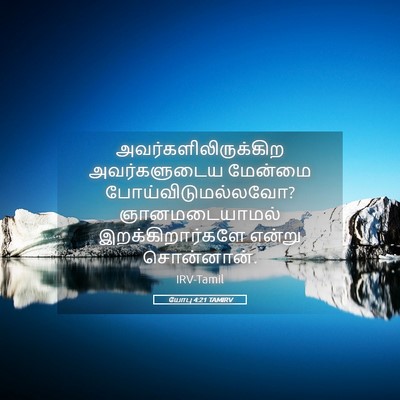 Picture 05 - யோபு 4:21 TAMIRV - அவர்களிலிருக்கிற - Bible Verse Picture