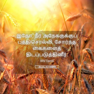 Picture 05 - யோபு 4:3 TAMIRV - இதோ, நீர் - Bible Verse Picture