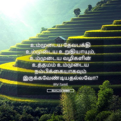 Picture 05 - யோபு 4:6 TAMIRV - உம்முடைய தேவபக்தி - Bible Verse Picture