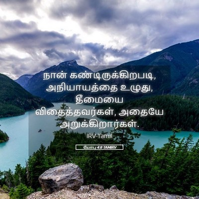 Picture 05 - யோபு 4:8 TAMIRV - நான் - Bible Verse Picture