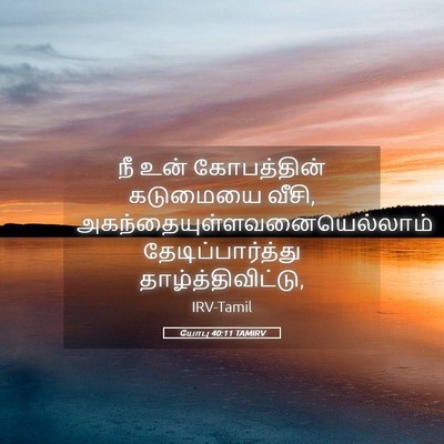 Picture 05 - யோபு 40:11 TAMIRV - நீ உன் கோபத்தின் - Bible Verse Picture