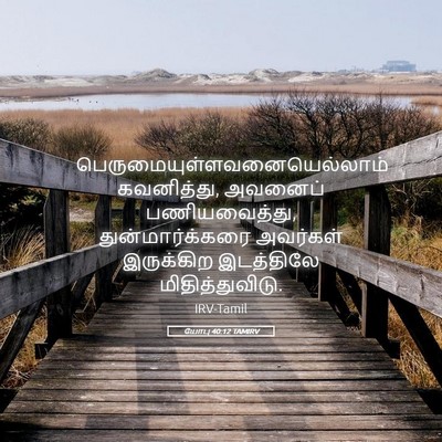 Picture 05 - யோபு 40:12 TAMIRV -  - Bible Verse Picture