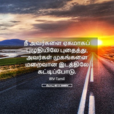 Picture 05 - யோபு 40:13 TAMIRV - நீ அவர்களை - Bible Verse Picture