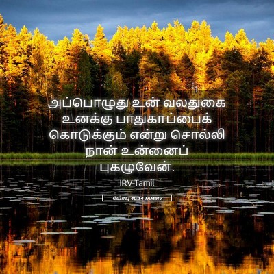 Picture 05 - யோபு 40:14 TAMIRV - அப்பொழுது உன் - Bible Verse Picture