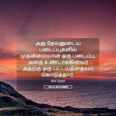 Picture 05 - யோபு 40:19 TAMIRV - அது தேவனுடைய - Bible Verse Picture