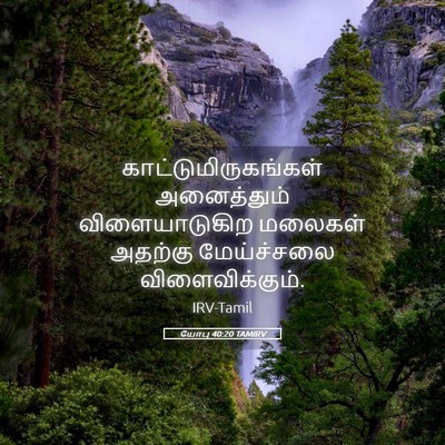 Picture 05 - யோபு 40:20 TAMIRV - காட்டுமிருகங்கள் - Bible Verse Picture