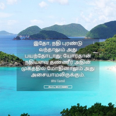 Picture 05 - யோபு 40:23 TAMIRV - இதோ, நதி புரண்டு - Bible Verse Picture