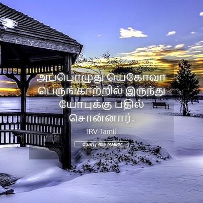 Picture 05 - யோபு 40:6 TAMIRV - அப்பொழுது யெகோவா - Bible Verse Picture