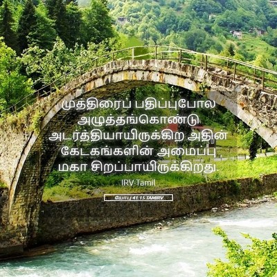 Picture 05 - யோபு 41:15 TAMIRV - முத்திரைப் - Bible Verse Picture