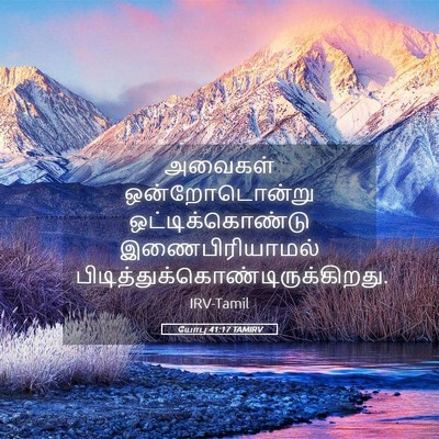 Picture 05 - யோபு 41:17 TAMIRV - அவைகள் - Bible Verse Picture
