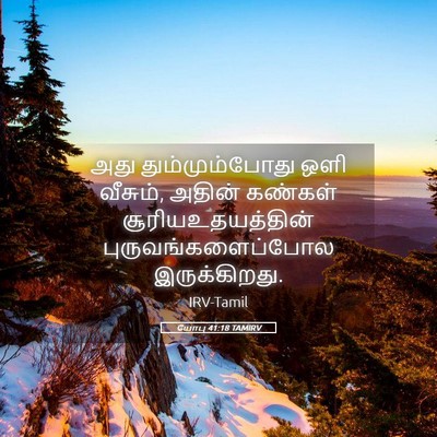 Picture 05 - யோபு 41:18 TAMIRV - அது தும்மும்போது - Bible Verse Picture