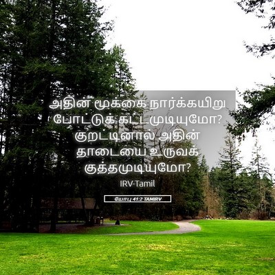 Picture 05 - யோபு 41:2 TAMIRV - அதின் மூக்கை - Bible Verse Picture