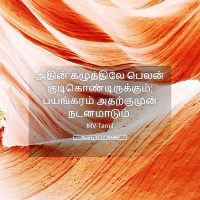 Picture 05 - யோபு 41:22 TAMIRV - அதின் கழுத்திலே - Bible Verse Picture