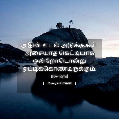 Picture 05 - யோபு 41:23 TAMIRV - அதின் உடல் - Bible Verse Picture