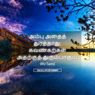 Picture 05 - யோபு 41:28 TAMIRV - அம்பு அதைத் - Bible Verse Picture