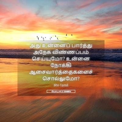Picture 05 - யோபு 41:3 TAMIRV - அது உன்னைப் - Bible Verse Picture