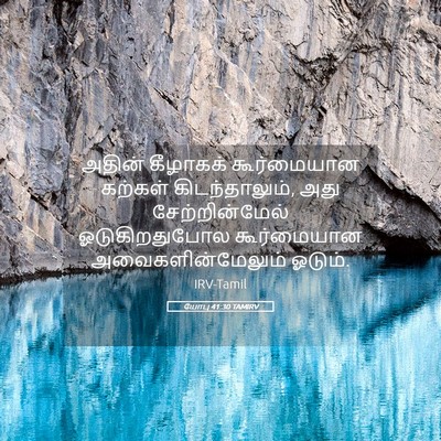 Picture 05 - யோபு 41:30 TAMIRV - அதின் கீழாகக் - Bible Verse Picture