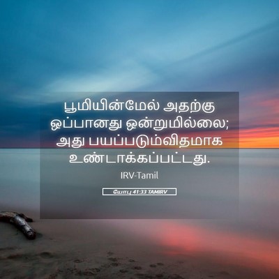 Picture 05 - யோபு 41:33 TAMIRV - பூமியின்மேல் - Bible Verse Picture