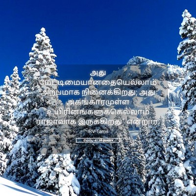 Picture 05 - யோபு 41:34 TAMIRV - அது - Bible Verse Picture