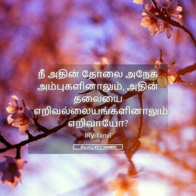 Picture 05 - யோபு 41:7 TAMIRV - நீ அதின் தோலை அநேக - Bible Verse Picture