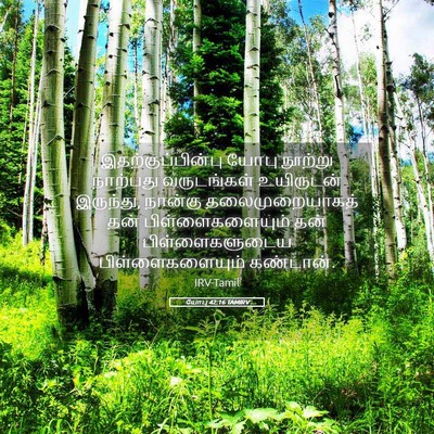 Picture 05 - யோபு 42:16 TAMIRV - இதற்குப்பின்பு - Bible Verse Picture