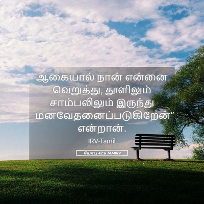 Picture 05 - யோபு 42:6 TAMIRV - ஆகையால் நான் - Bible Verse Picture