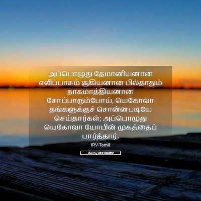 Picture 05 - யோபு 42:9 TAMIRV - அப்பொழுது - Bible Verse Picture