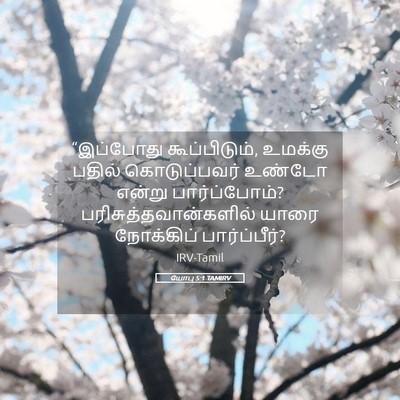 Picture 05 - யோபு 5:1 TAMIRV - “இப்போது - Bible Verse Picture