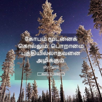 Picture 05 - யோபு 5:2 TAMIRV - கோபம் மூடனைக் - Bible Verse Picture
