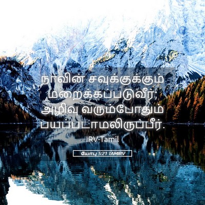 Picture 05 - யோபு 5:21 TAMIRV - நாவின் - Bible Verse Picture
