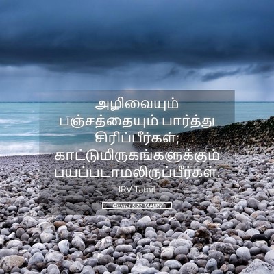 Picture 05 - யோபு 5:22 TAMIRV - அழிவையும் - Bible Verse Picture