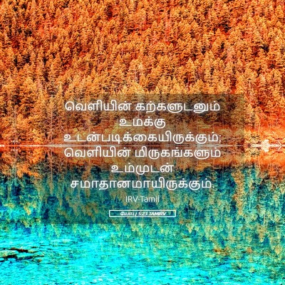 Picture 05 - யோபு 5:23 TAMIRV - வெளியின் - Bible Verse Picture
