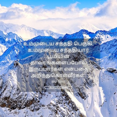 Picture 05 - யோபு 5:25 TAMIRV - உம்முடைய சந்ததி - Bible Verse Picture
