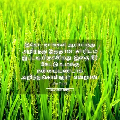 Picture 05 - யோபு 5:27 TAMIRV - இதோ, நாங்கள் - Bible Verse Picture