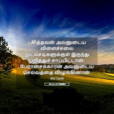 Picture 05 - யோபு 5:5 TAMIRV - பசித்தவன் அவனுடைய - Bible Verse Picture