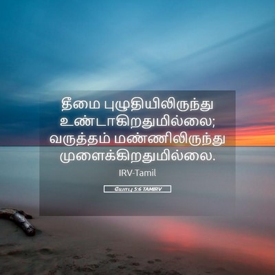 Picture 05 - யோபு 5:6 TAMIRV - தீமை - Bible Verse Picture