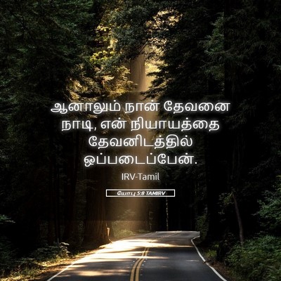 Picture 05 - யோபு 5:8 TAMIRV - ஆனாலும் நான் - Bible Verse Picture