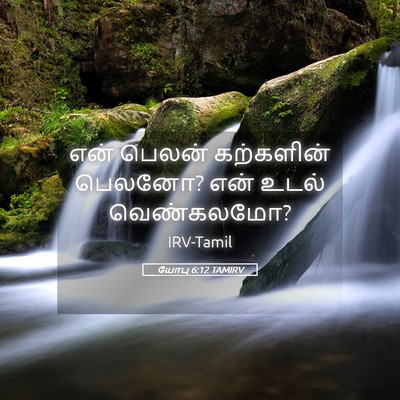 Picture 05 - யோபு 6:12 TAMIRV - என் பெலன் - Bible Verse Picture