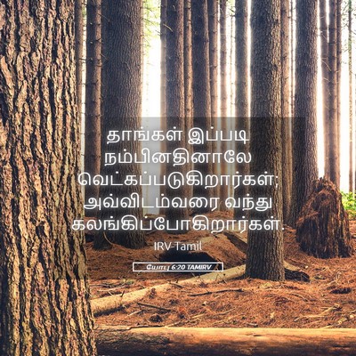 Picture 05 - யோபு 6:20 TAMIRV - தாங்கள் இப்படி - Bible Verse Picture