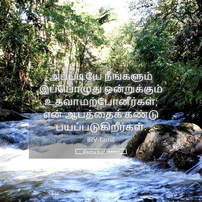 Picture 05 - யோபு 6:21 TAMIRV - அப்படியே - Bible Verse Picture
