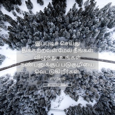 Picture 05 - யோபு 6:27 TAMIRV - இப்படிச் செய்து - Bible Verse Picture