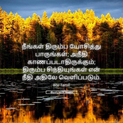 Picture 05 - யோபு 6:29 TAMIRV - நீங்கள் திரும்ப - Bible Verse Picture