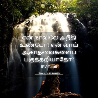 Picture 05 - யோபு 6:30 TAMIRV - என் நாவிலே அநீதி - Bible Verse Picture