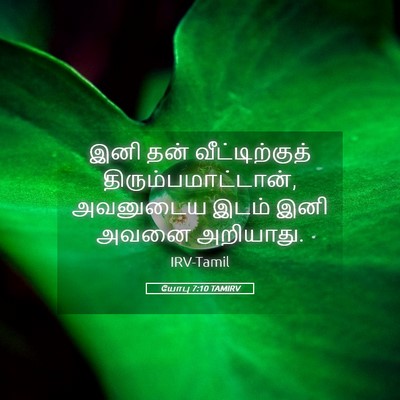 Picture 05 - யோபு 7:10 TAMIRV - இனி தன் - Bible Verse Picture