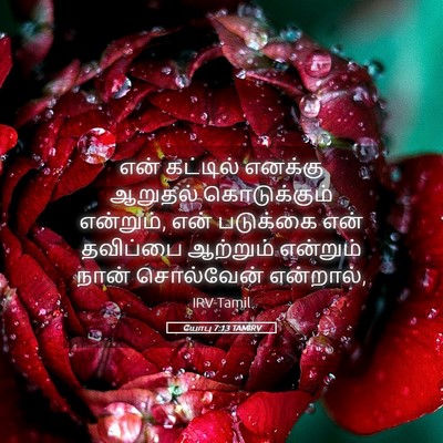 Picture 05 - யோபு 7:13 TAMIRV - என் கட்டில் - Bible Verse Picture