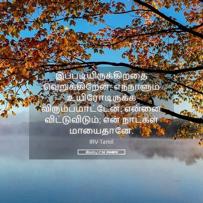 Picture 05 - யோபு 7:16 TAMIRV -  - Bible Verse Picture
