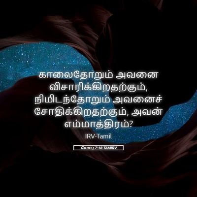 Picture 05 - யோபு 7:18 TAMIRV - காலைதோறும் அவனை - Bible Verse Picture