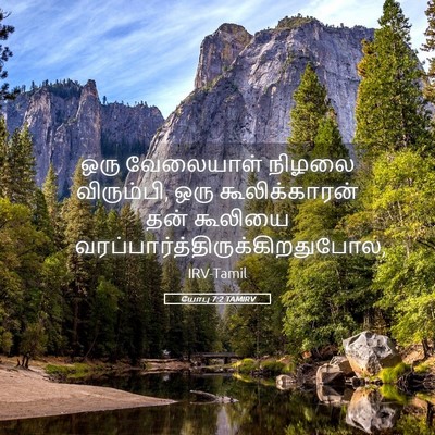 Picture 05 - யோபு 7:2 TAMIRV - ஒரு வேலையாள் - Bible Verse Picture