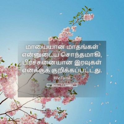 Picture 05 - யோபு 7:3 TAMIRV - மாயையான மாதங்கள் - Bible Verse Picture